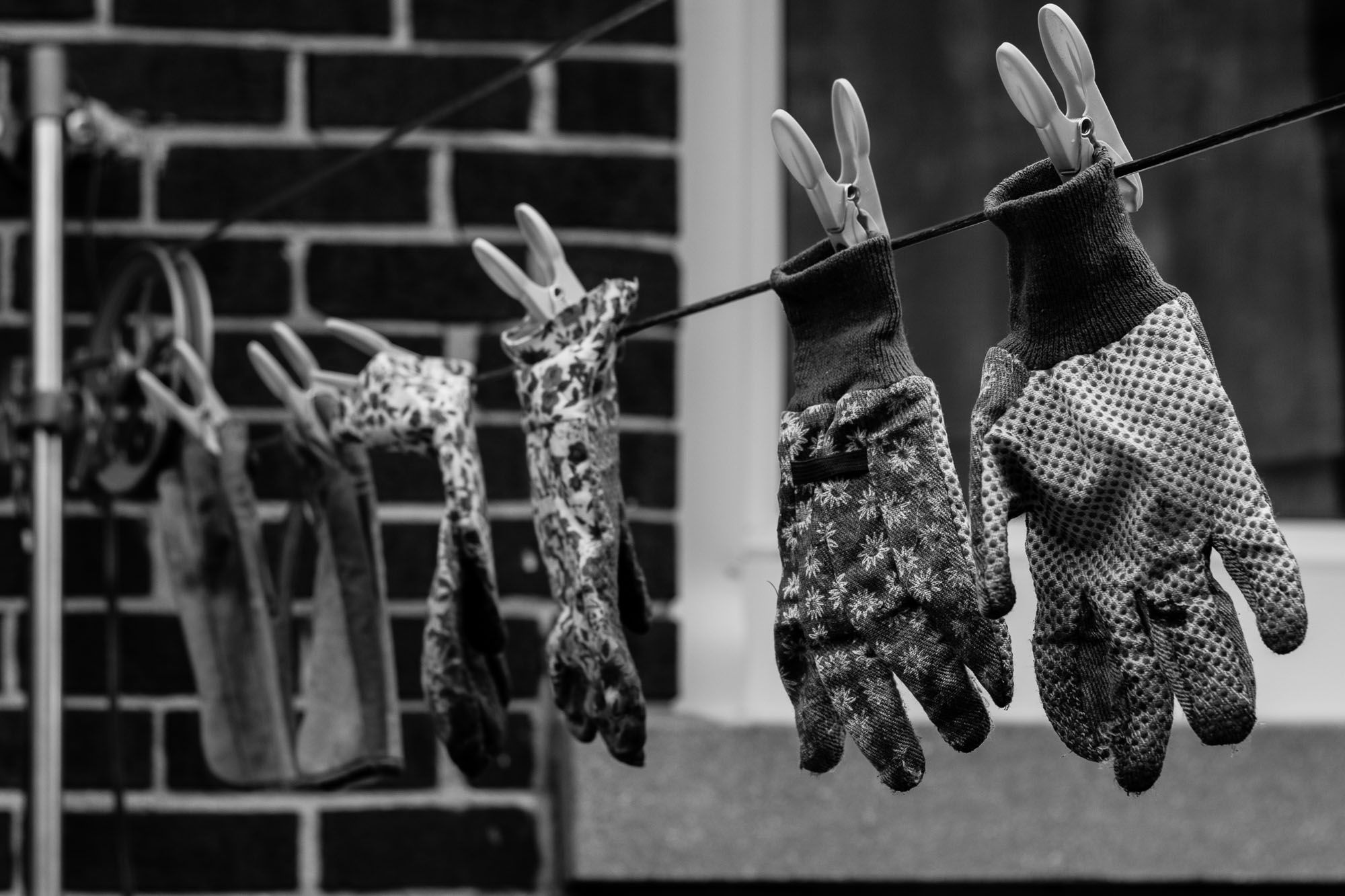 Gloves on Clothesline